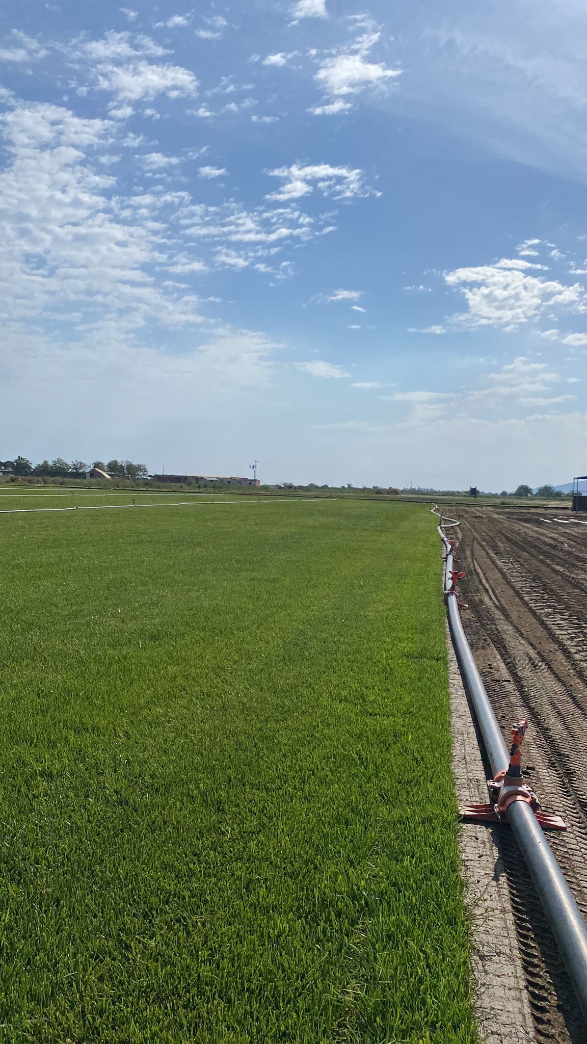 Altınoluk Peyzaj - Rulo Çim